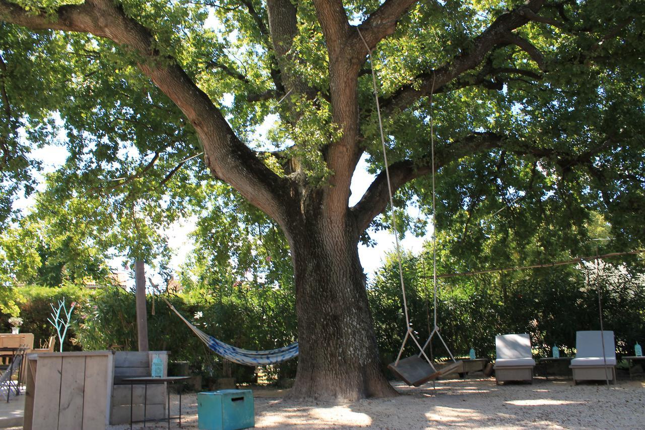Le Mas Turquoise, B&B Spa-Color Inclus Bedarrides Bagian luar foto